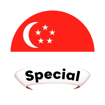 สิงคโปร์พิเศษ